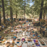 DirtyBird Campout X Northern Lights del 17 al 19 de Julio en California, USA